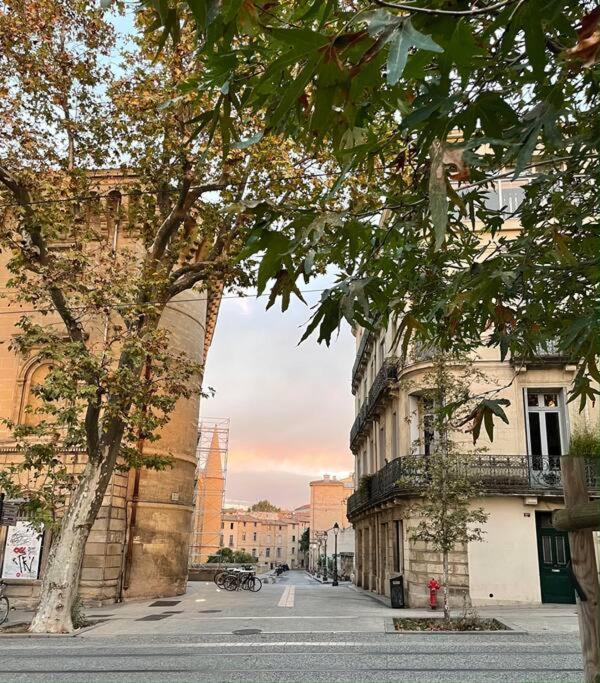 Appartement Cosy Au Coeur De L'Ecusson Montpellier Eksteriør billede