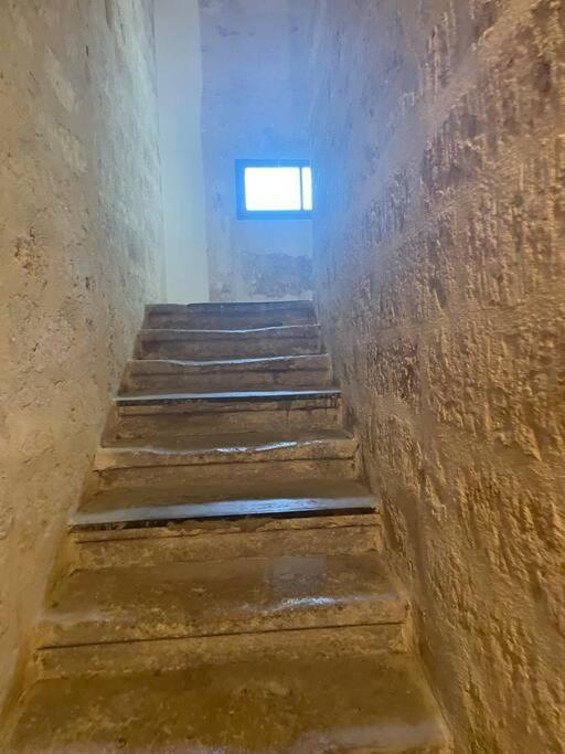 Appartement Cosy Au Coeur De L'Ecusson Montpellier Eksteriør billede