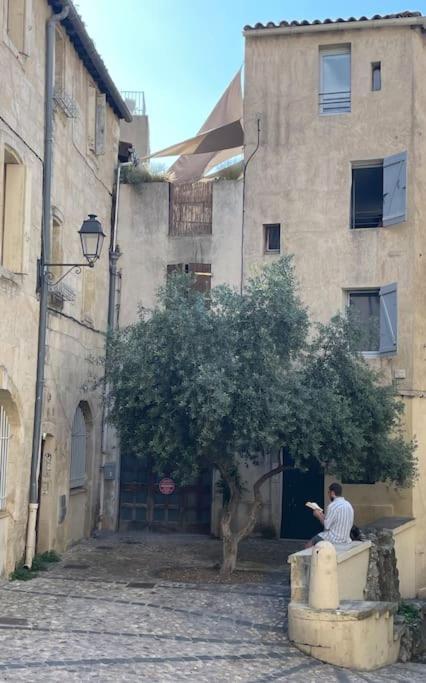 Appartement Cosy Au Coeur De L'Ecusson Montpellier Eksteriør billede